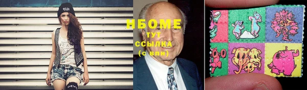 прущие грибы Каменногорск