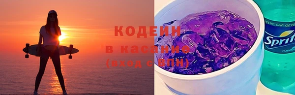 прущие грибы Каменногорск