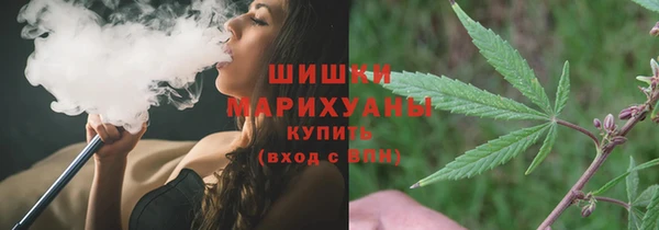 прущие грибы Каменногорск