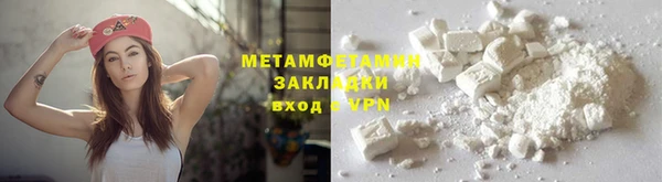 прущие грибы Каменногорск