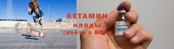 прущие грибы Каменногорск