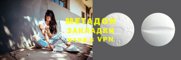 прущие грибы Каменногорск