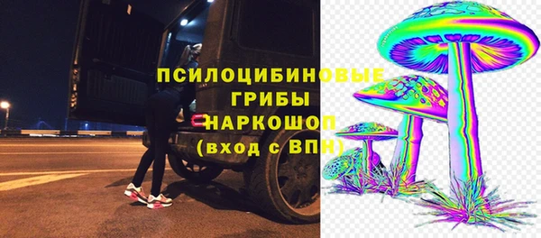 кокаин Каменка