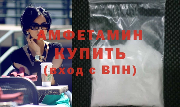 прущие грибы Каменногорск
