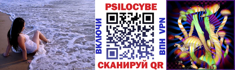 где можно купить наркотик  Калязин  Псилоцибиновые грибы Magic Shrooms 